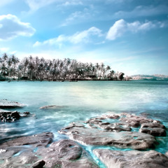 Forgotten Island (Sergey K pres. Misst aka Hely Flashback Remix)