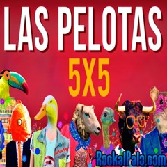 Spot Pelotas 06