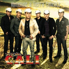 bandas