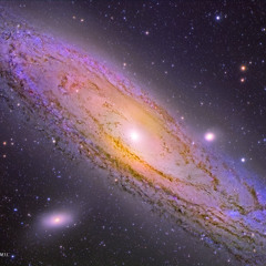 M31