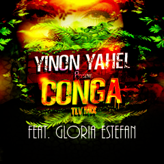Gloria Estefan - Conga (Yinon Yahel TLV Mix 2014)
