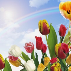 8 לראות את היופי