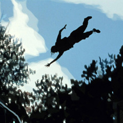 I can fly , but I'm high