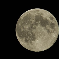 Rocket (Original ) ©