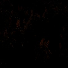 Bored Infinity - Delirium Of Absolute Presence - 10 Clues To Situations