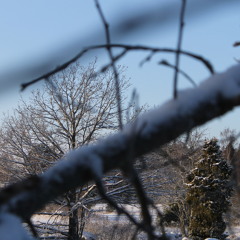 Emillindgren o Timy L    My Soul (original mix)