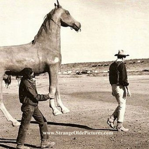 Fake Horse