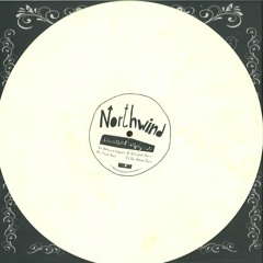 Artenvielfalt & Wolfgang Lohr - Northwind (Tinush Remix) !!! OUT NOW !!!