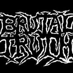 Punk Rock Jalanan Anak Brutal