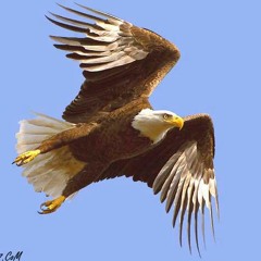 الوي الوي لما شبقتني