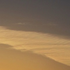 Business Substance 4