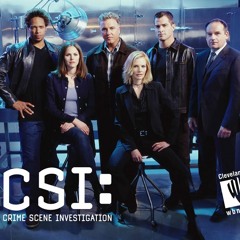 CSI Theme - Produder VII