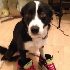 Uncle Seebs- Wonda Y