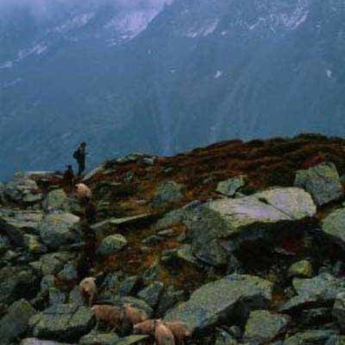 FIELDNOTES: I report on March snowmelt, overgrazing & the problem of natural limit on public land