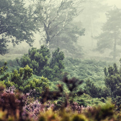 Supa Chill the third