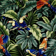 NOWOW MAGAZINE - Playlist Tropicalia
