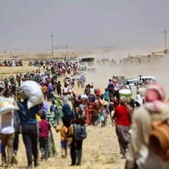 Bilind Ibrahim - Shingal - بلند ابراهيم - شنگال