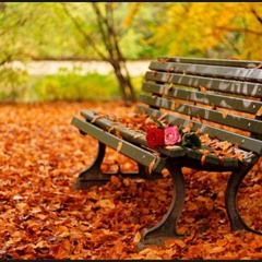 Deni Maker - Autumn Romance