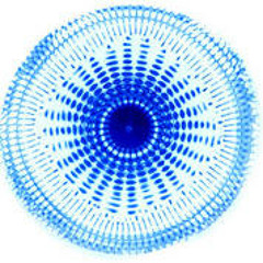 Psy-Mr. - Reconnection 432Hz - Mp3