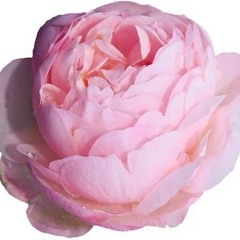 my hero ❤ (produсed by pvndv)