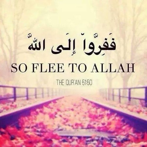 الشيخ / خالد الراشد  2