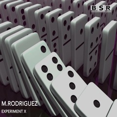 [BSR027] M RODRIGUEZ - EXPERIMENT X - SAMPLER