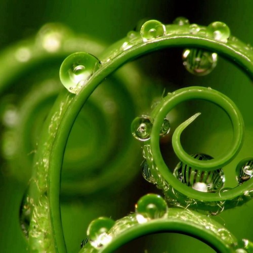 SPACEPOPS - Harmonic Mesh - DJ Mix Summer June 2014