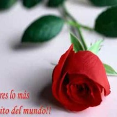 SUPER LAMAS ERES LO MAS BELLO DEL AMOR -  TUCHO DJ -  2014