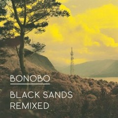 Bonobo - All In Forms (Mike Slott remix) Snippet