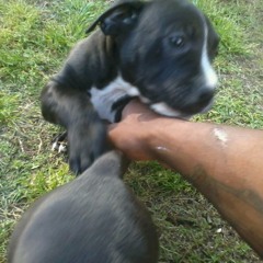 Bunchy C X Wind Up Under My Cape