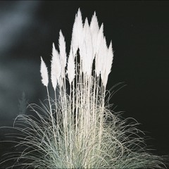 Hospital Sports - EP