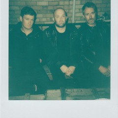 The Peep Tempel: "We're building a comic strip with our songs."