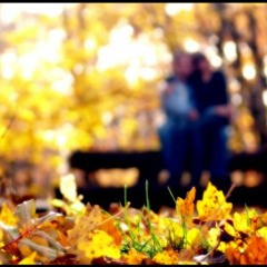 БАБИНЕ ЛІТО (муз. К. Сохацький, сл. Ірена Томаш-Пастушок)