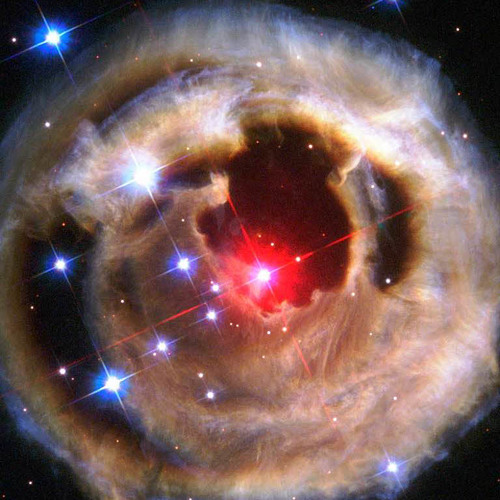 S.O.J.A. X - Fuckin' Butterflys