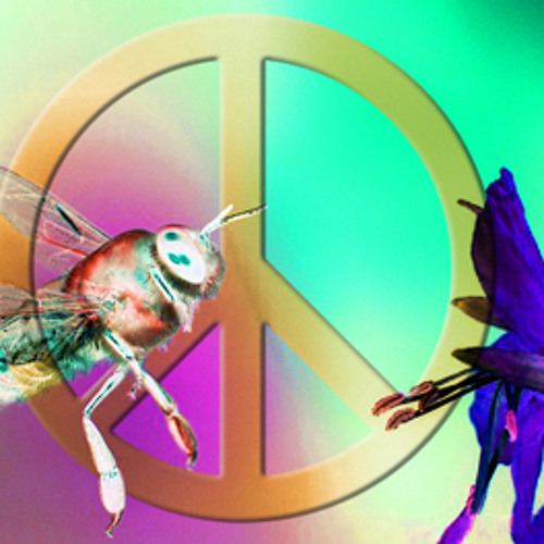 Peace Drone