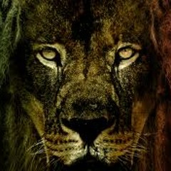 DUB & Reggae
