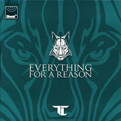 TC - Everything For A Reason (TCTS Remix)