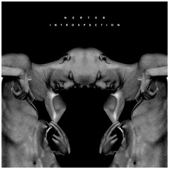 NERTER - Introspection