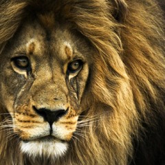 A.S.C. (Prod. by K33F)