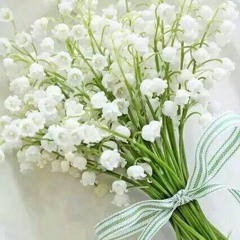 قَمَرِىُ الْوَجْهِ - العفاسى ...~!