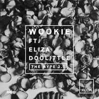 Wookie - The Hype 2.0 Ft. Eliza Doolitle (cln Remix)