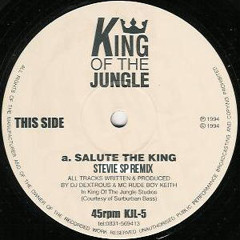 SALUTE TO THE KING DJ DEXTROUS & RUDE BOY KEITH (STEVIE SP REMIX) FREE DOWNLOAD