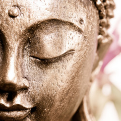 Loving - Kindness With A Difficult Person