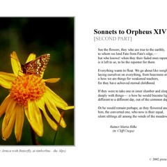 RILKE: Sonnets to Orpheus, XIV [second part], German/English, tr. Cliff Crego