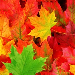 Zirnis un Freks - Rudens