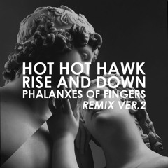 Hot Hot Hawk - Rise and down (Phalanxes of fingers remix ver.2)