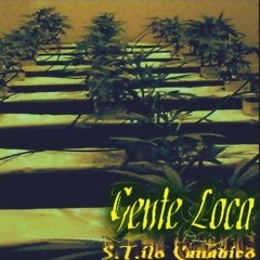 GENTE LOCA - Contrariedades