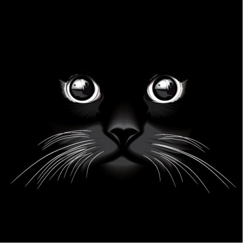 Sleeping Cat (Demo)