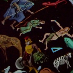 Wrong way in Mexico by bullet society