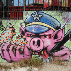 Fuzz Krap (Pensamiento I)